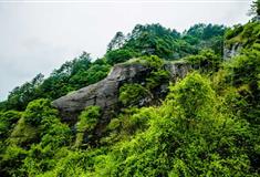 冠豸山：鳄鱼上山
