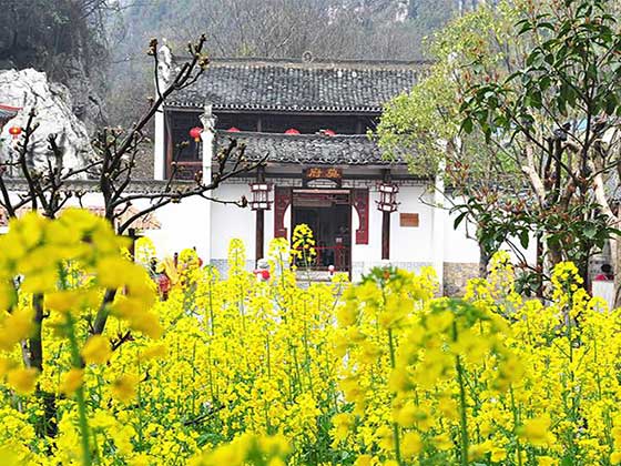 刘三姐大观园15028