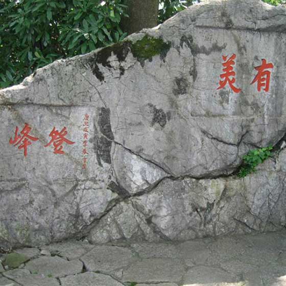 万松书院14506