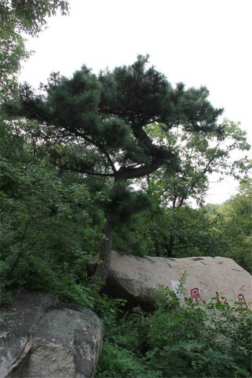 天津盘山风景名胜区14664