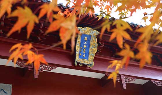 2020南京栖霞山红枫节有哪些活动？门票多少钱？