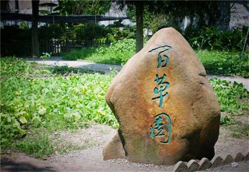 鲁迅公园百草园
