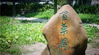 鲁迅公园：百草园