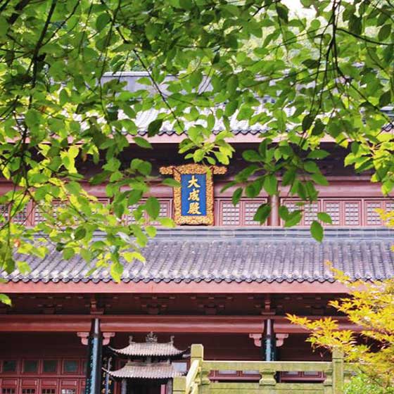 万松书院14517