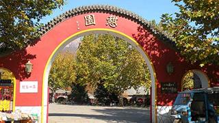 北极村旅游风景区：憩园
