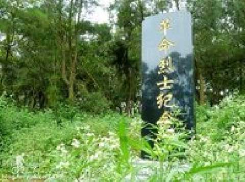 小嶝岛14444