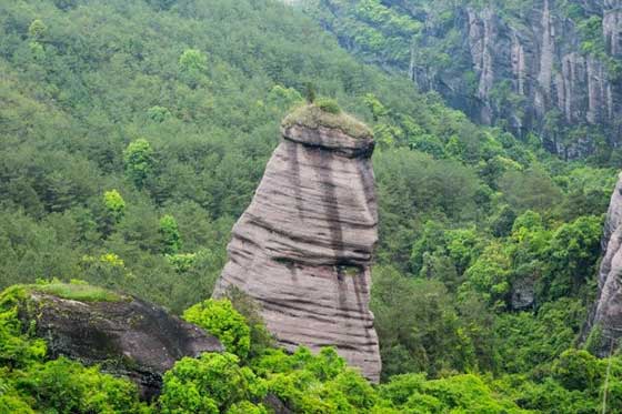 冠豸山14904