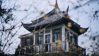 上海桂林公园介绍及游玩景点推荐