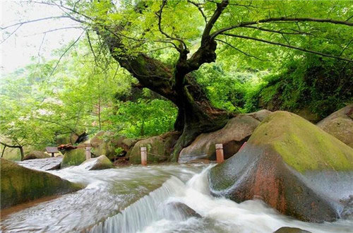 九华天池旅游景区15770
