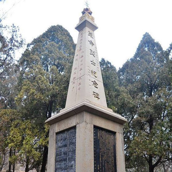 泰山15916