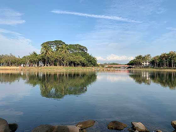 深圳海上田园介绍及游玩景点推荐