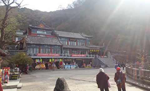 泰山15912