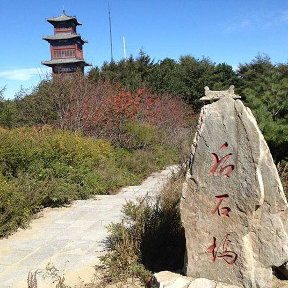 泰山15924