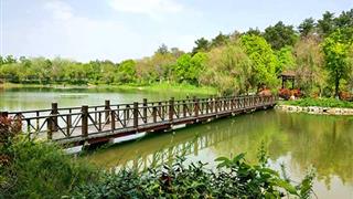 南京游子山休闲旅游区介绍及游玩景点推荐