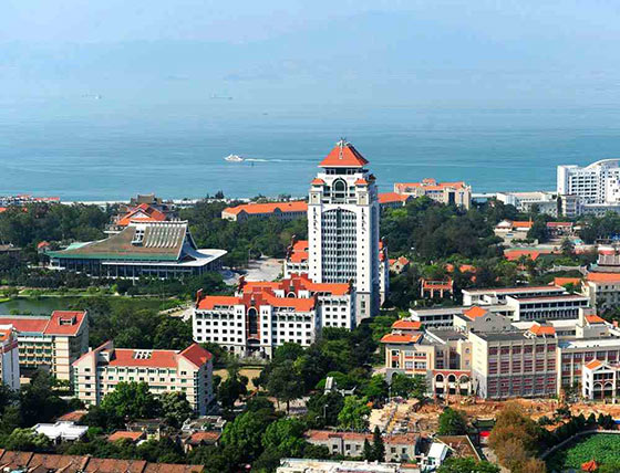 厦门大学15539