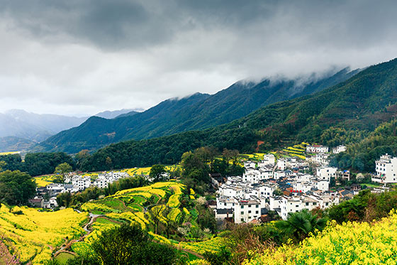 婺源江岭景区介绍及游玩景点推荐