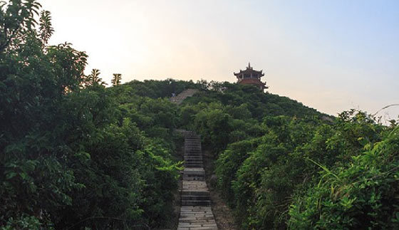 东澳岛15605