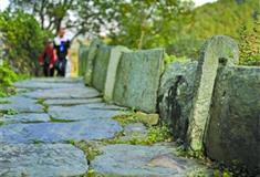 婺源江岭：千年古驿道