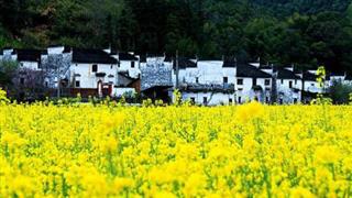 婺源江岭：江岭亭