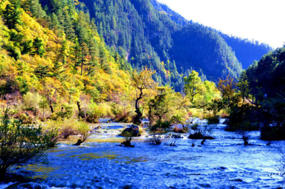 九寨沟风景区15463
