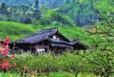 福州月洲村怎么玩？附游玩路线