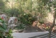 深圳南山公园怎么玩？附游玩路线