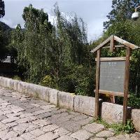 束河古镇19115