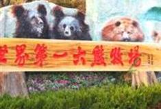 青岛东方熊牧场怎么玩？附游玩路线