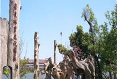 宜兰台湾罗东林业文化园区怎么玩？附游玩路线