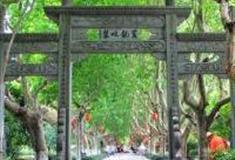 杭州黄龙吐翠怎么玩？附游玩路线