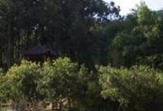 珠海石溪景区怎么玩？附游玩路线