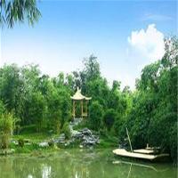 中国科学院华南植物园18801
