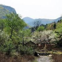 莲花岩18681