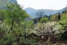 莲花岩：莲花岩村