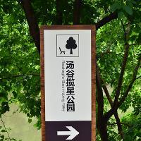 东温泉18543