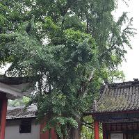东温泉18108