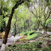 温州景山公园介绍及游玩景点推荐