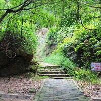大雁山风景区18438