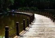 深圳燕晗山郊野公园怎么玩？附游玩路线