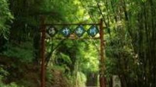 成都芦沟竹海怎么玩？附游玩路线