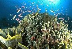 小梅沙海洋世界幻游海洋馆