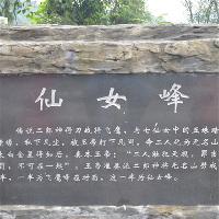 东温泉18554