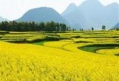 重庆醉美酒乡生态产业园怎么玩？附游玩路线