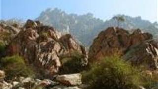 银川苏峪口国家森林公园怎么玩？附游玩路线