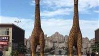 烟台龙口动植物园怎么玩？附游玩路线