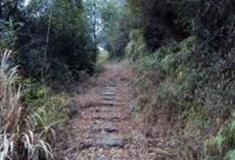 金华阳山岭古道怎么玩？附游玩路线