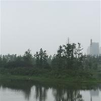 长沙洋湖湿地公园18319