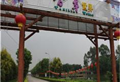 广州花都香草世界怎么玩？附游玩路线