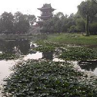 常家庄园18461