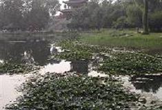 常家庄园：观稼阁
